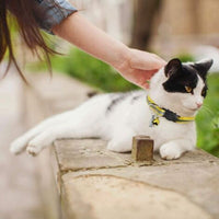 Adjustable Reflective Collars for Cats and Puppies with Bell and Safety Buckle, 6X Multicolor Pet Accessories