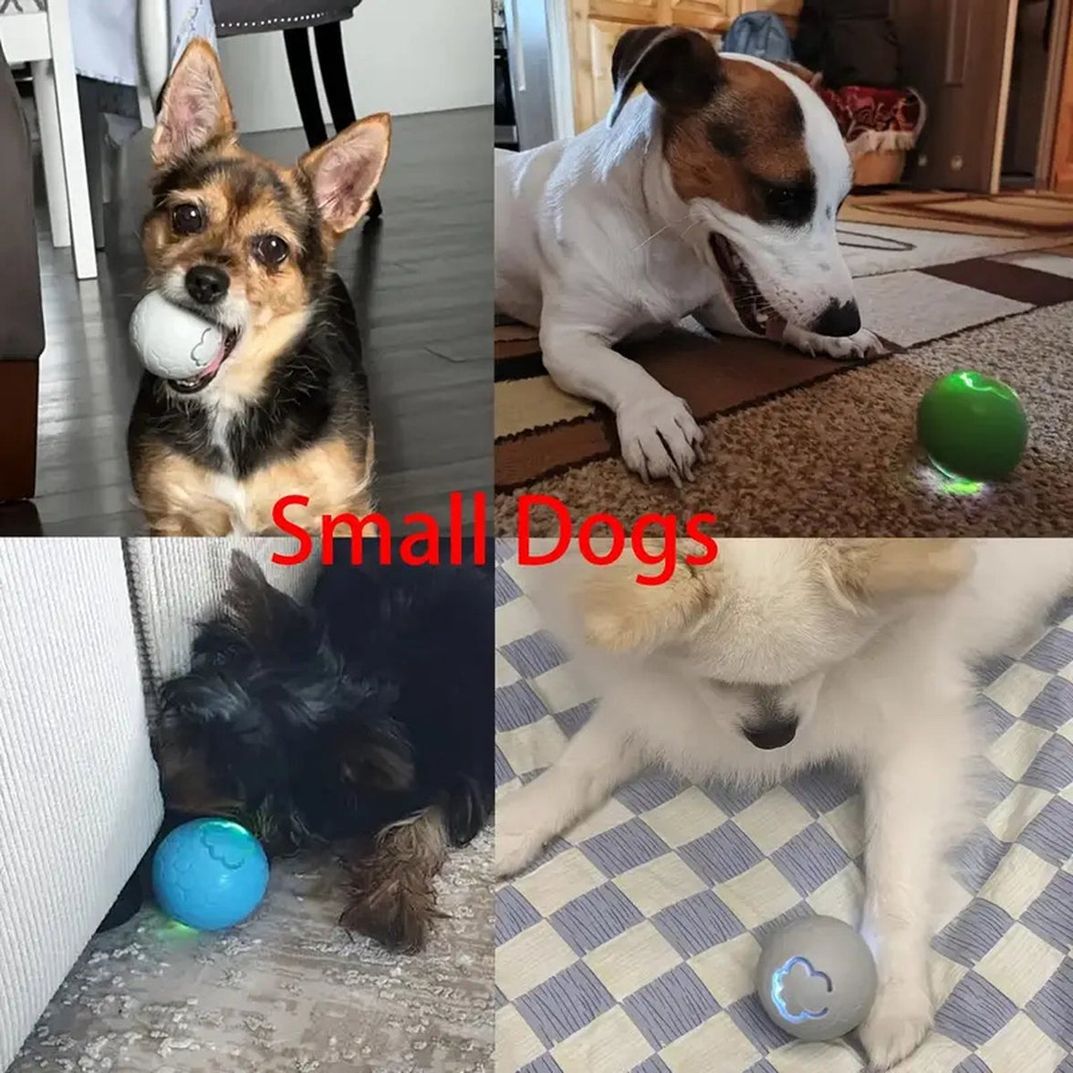 Interactive Dog Toy - Self-Rolling Dog Ball - Durable Automatic Dog Ball, Light Grey - 5.6 cm