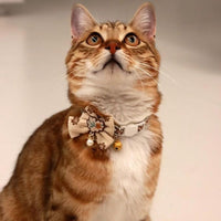Cat Collar - Bow and Bell Collar - Adjustable Kitten Collar - Dog Collar - Lightweight Safety Collar for Pets (Set of 6)