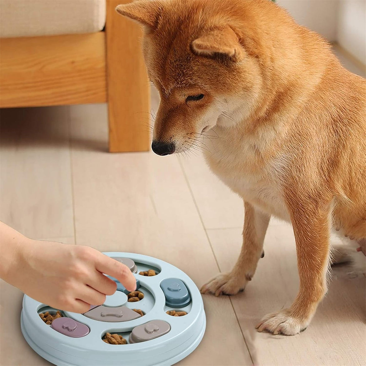 LGCASL Dog Brain-Boosting Food Feeder (Green), Dog Puzzles Dogs Foodes Puzzle Feeder Toys for Iq Training & Mental Enrichment Dog Puzzle, Green Blue