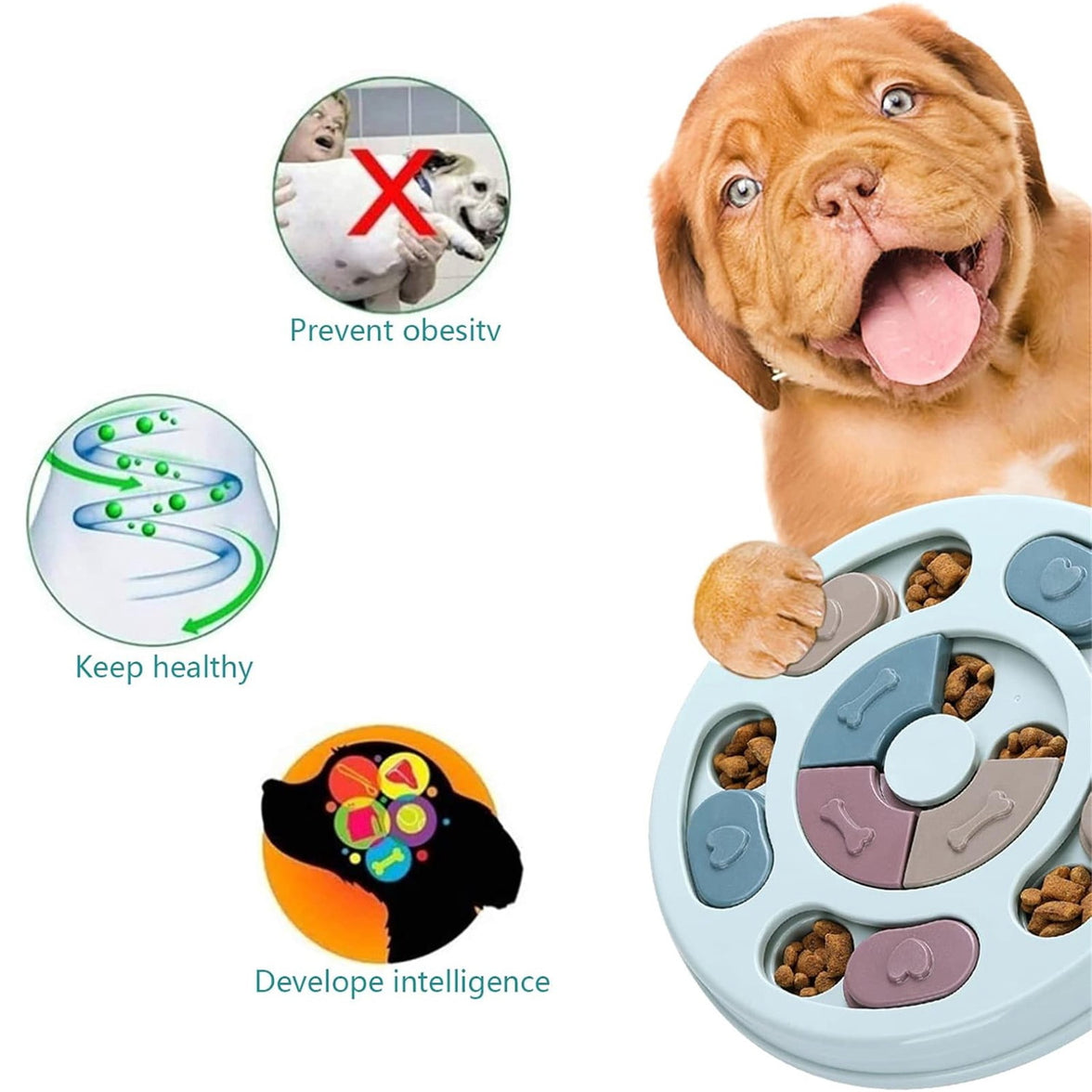 LGCASL Dog Brain-Boosting Food Feeder (Green), Dog Puzzles Dogs Foodes Puzzle Feeder Toys for Iq Training & Mental Enrichment Dog Puzzle, Green Blue