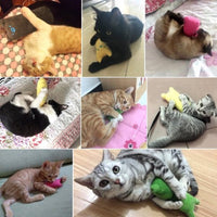 Catnip Plush Toy | Cat Toys | Catnip | Cat Toys | BROWN