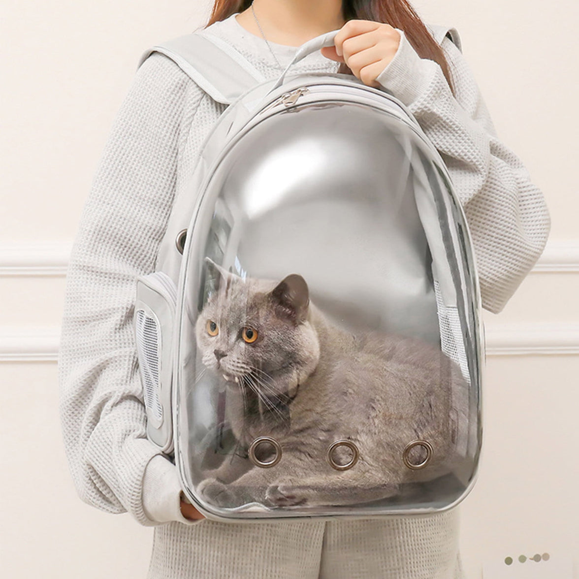 Pet Backpack Carrier, Transparent Space Capsule Pet Backpack Bag with Straps, Breathable Pet Carrier for Traveling Walking Hiking Outdoor Activities C