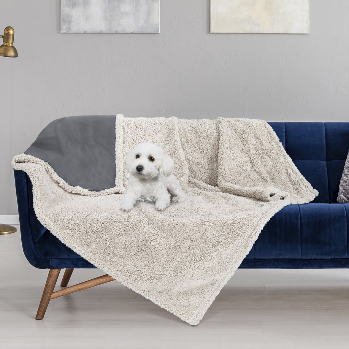 Pawsse Waterproof Pet Blanket, Pee Urine Proof Dog Blanket Cover for Couch Bed Furniture Protector, Liquid Proof Blanket for Small Medium Dogs, Buffale Red/Tuape, 50” x 60”. Gray/Tuape