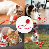 Interactive Rolling Dog Ball, Interactive Cat to-ys Rolling Ball Chewie Viral Dog Ball, Smart Automatic Rolling Pet Ball for Cats Dogs Motion Activated