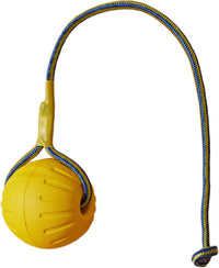 Dog Ball on Rope 3 Inch Rubber Ball on Rope Dog Toy Interactive Training Yellow Color Portable Teething Toys for Reward, Fetch, Play