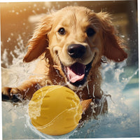 Dog Ball on Rope 3 Inch Rubber Ball on Rope Dog Toy Interactive Training Yellow Color Portable Teething Toys for Reward, Fetch, Play