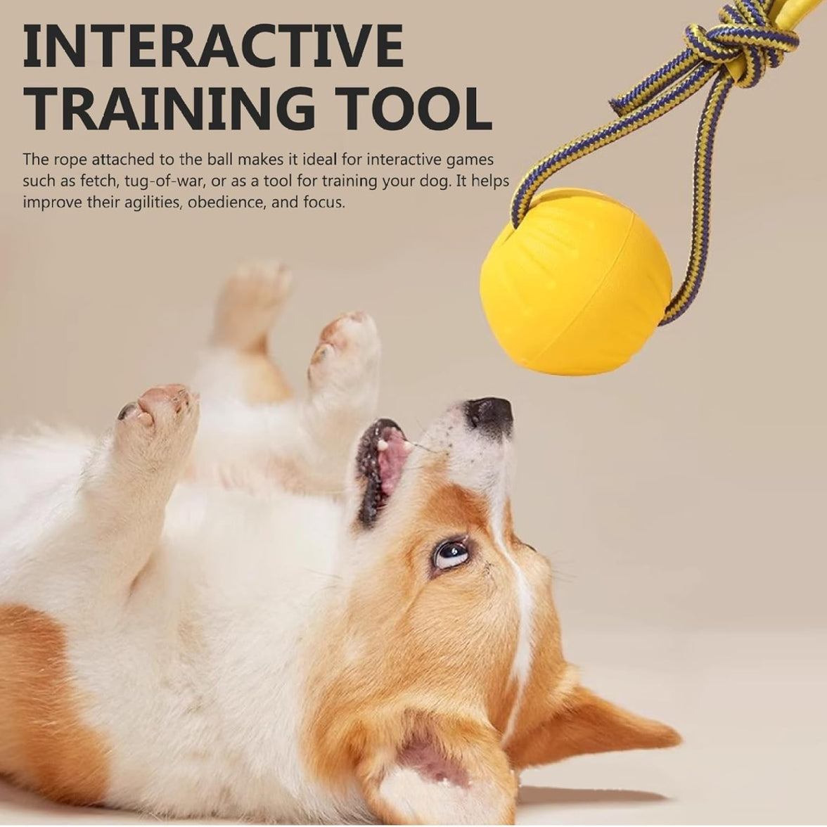 Dog Ball on Rope 3 Inch Rubber Ball on Rope Dog Toy Interactive Training Yellow Color Portable Teething Toys for Reward, Fetch, Play