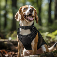 6FT × 1'' Dog Leash and Collar (18-28"), Reflective Soft Neoprene Padded Pet Collars Leashes for Extra Large Dog, Black -