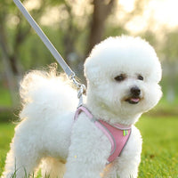 Pet Cat Harness and Leash Set Breathable Vest with Reflective Strip for Kitten Walking Traveling Pink