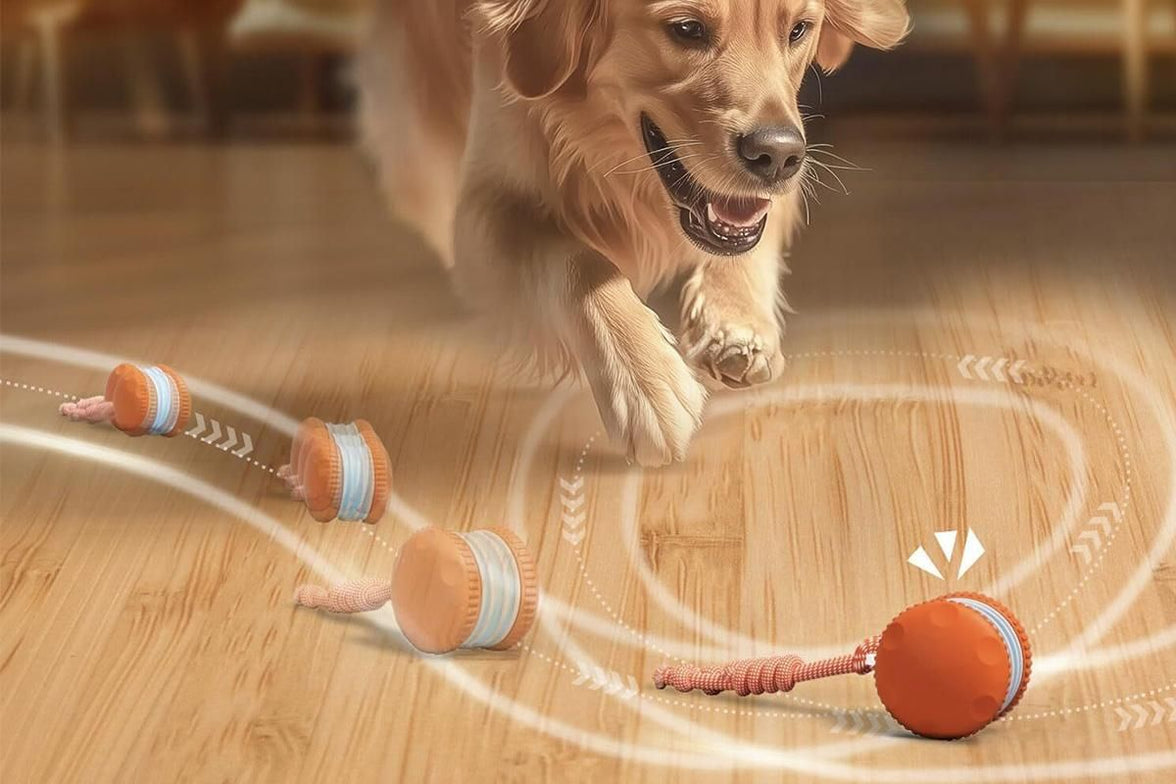 Interactive Pet Rolling Ball Toy Rechargeable Automatic Play Ball for Cats and Dogs - Orange