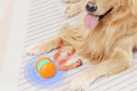 Interactive Pet Rolling Ball Toy Rechargeable Automatic Play Ball for Cats and Dogs - Orange