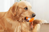 Interactive Pet Rolling Ball Toy Rechargeable Automatic Play Ball for Cats and Dogs - Orange