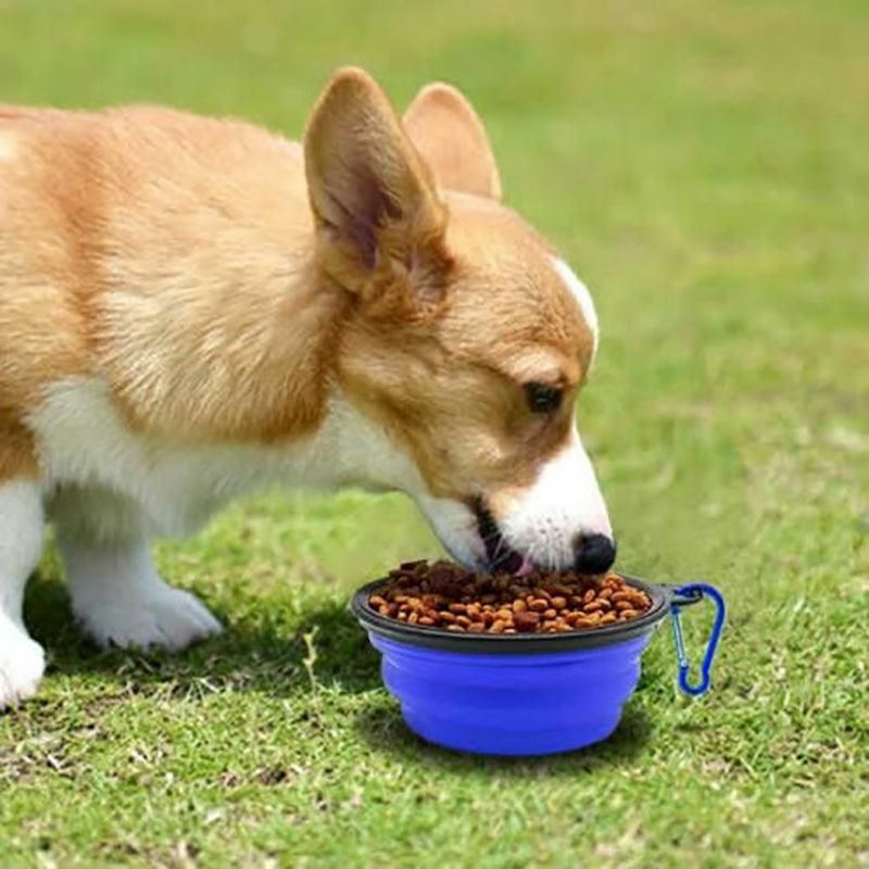 Collapsible Silicone Pet Bowl for Cat Dog Portable Food and Water Feeder - Black