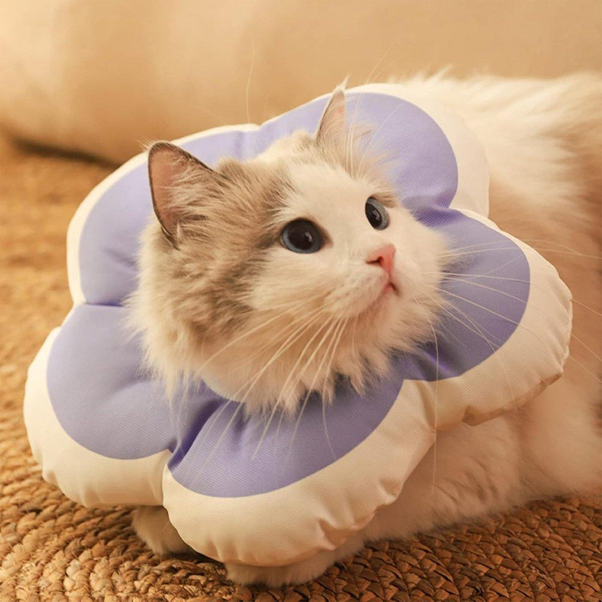 Elizabethan Cat Recovery Collar Anti Licking Pet Cone Protective Neck Ring - Purple-M