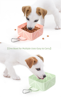 2 Pcs Purple Portable 500ml Collapsible Square Pet Bowl - Silicone Travel Feeder with Carabiner Clip for Dogs & Cats - Lightweight for Camping & Hiking