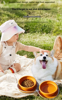 Portable Silicone Double Pet Bowl - Collapsible Travel Dog Feeder for Food & Water - 2 x 450ml Capacity with Zipper Case - Light Yellow