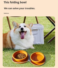 Portable Silicone Double Pet Bowl - Collapsible Travel Dog Feeder for Food & Water - 2 x 450ml Capacity with Zipper Case - Brown & Pink