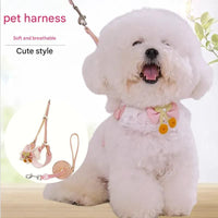 Pink Lace Y-Shaped Pet Harness and Leash Set - Breathable Mesh Vest for Small to Medium Dogs and Cats - Comfortable Walking Gear with 150cm Leash(Size:M)