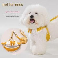 Green Lace Y-Shaped Pet Harness and Leash Set - Breathable Mesh Vest for Small to Medium Dogs and Cats - Comfortable Walking Gear with 150cm Leash(Size:M)
