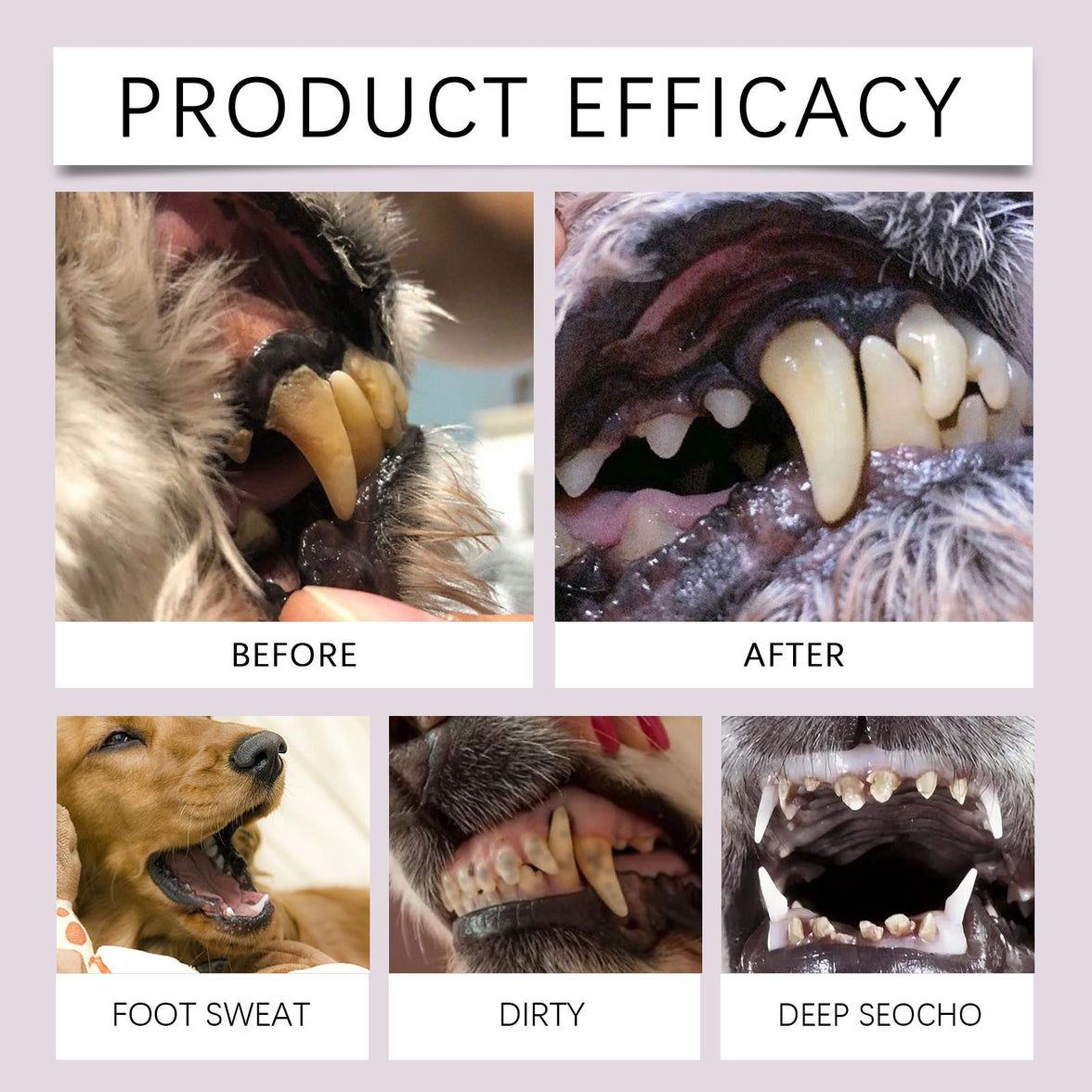 2-Pack Professional Pet Dental Cleaning Pens - Gentle Plaque & Tartar Remover and Breath Freshener for Dogs and Cats